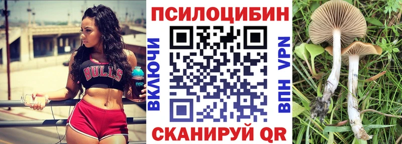 Купить закладки  Микунь  Псилоцибиновые грибы GOLDEN TEACHER 